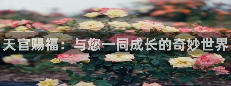 虫虫 漫画