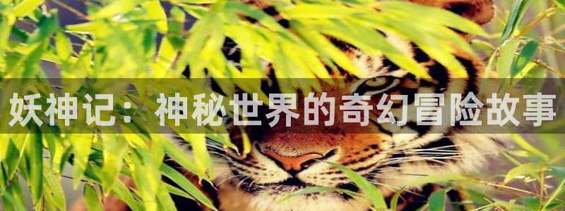 虫虫漫画在线观看