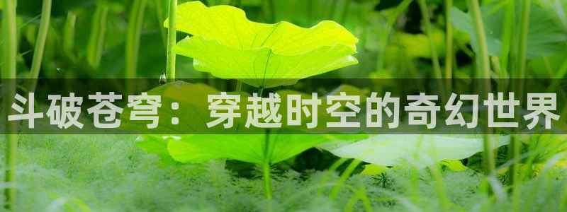 虫虫漫画收藏