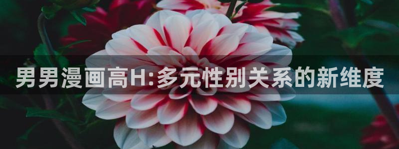 虫虫漫画网在线阅读