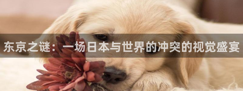 虫虫漫画免费阅读下拉式：东京之谜：一场日本与世界的冲突的视觉盛宴