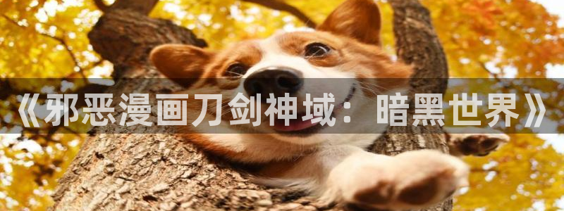 虫虫电影网：《邪恶漫画刀剑神域：暗黑世界》