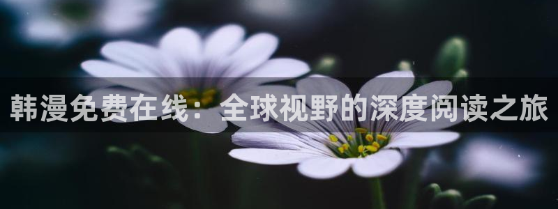 虫虫漫画官网页面免费漫画入口：韩漫免费在线：全球视野的深度阅读之旅