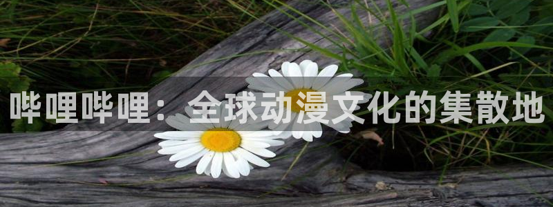 虫虫漫画免费全集：哔哩哔哩：全球动漫文化的集散地