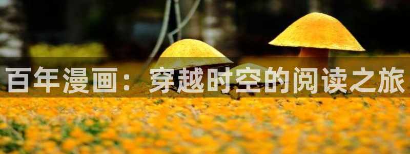 虫虫漫画弹窗：百年漫画：穿越时空的阅读之旅
