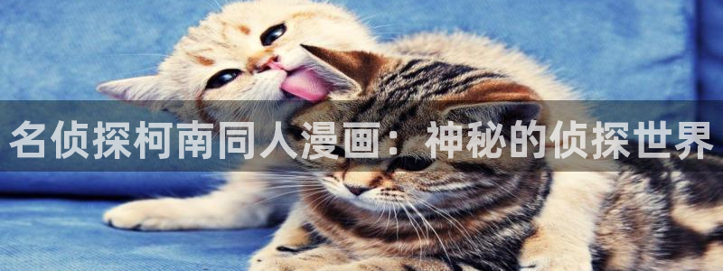 虫虫漫画网站入口：名侦探柯南同人漫画：神秘的侦探世界