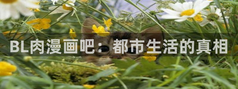 虫虫漫画免费观看漫画：BL肉漫画吧：都市生活的真相