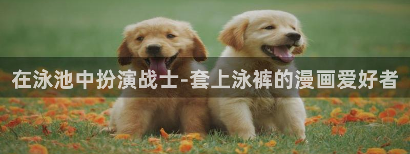 虫虫漫画免费版在线观看