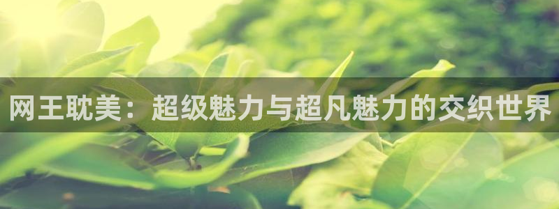 虫虫漫画网在线阅读免费