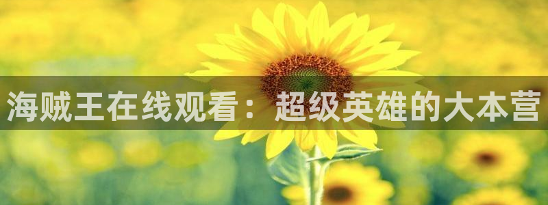 虫虫漫画色：海贼王在线观看：超级英雄的大本营